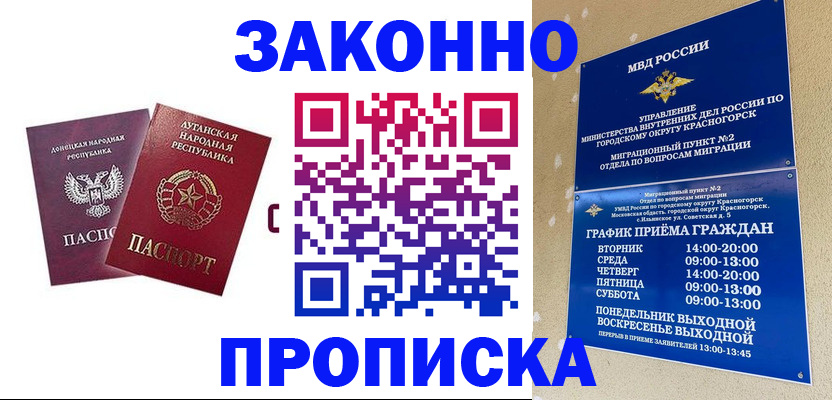 прописка в Михайловске
